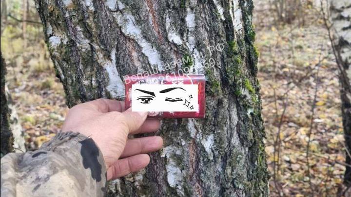 Выкорчёвка яблоневого сада