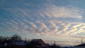 Мой проект 4 2025-01-06_20-15-13