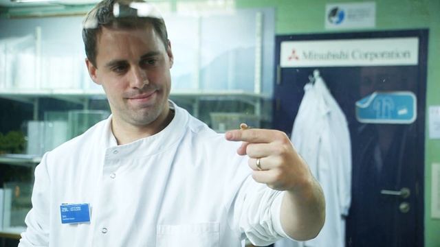 Keepers welcome in 2017 with London Zoo's annual stocktake смотреть онлайн