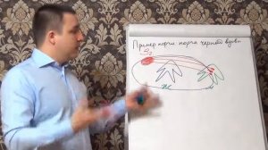 Порча черной вдовы — пример порчи, признаки сглаза