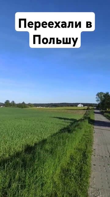 Наша жизнь изменилась после переезда/Z Białorusi do Polski #trojmiasto #polskawieś #polska смотреть онлайн