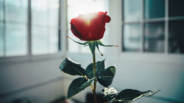 Романтическая музыка (romantic3)