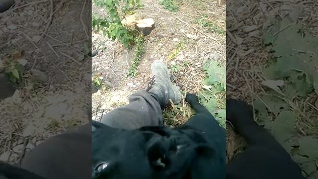 сара морально меня поддерживает😇 смотреть онлайн