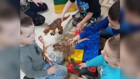 Коллекционирование