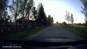 Утята и заяц