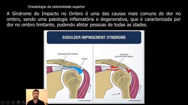Cinesiologia da cintura escapular Prof. Túlio Banja смотреть онлайн