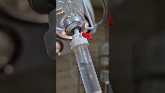 Как стерилизуют собак и кошек как проходит операция. Решение за Вами #zoovetdoctor #ушаковдмитрий смотреть онлайн