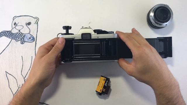 Olympus OM10 How to Use Beginners Quick Guide смотреть онлайн