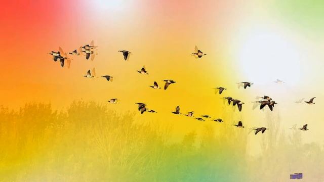 Art 48 смотреть онлайн