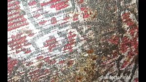 Клопы - сильное заражение дивана.