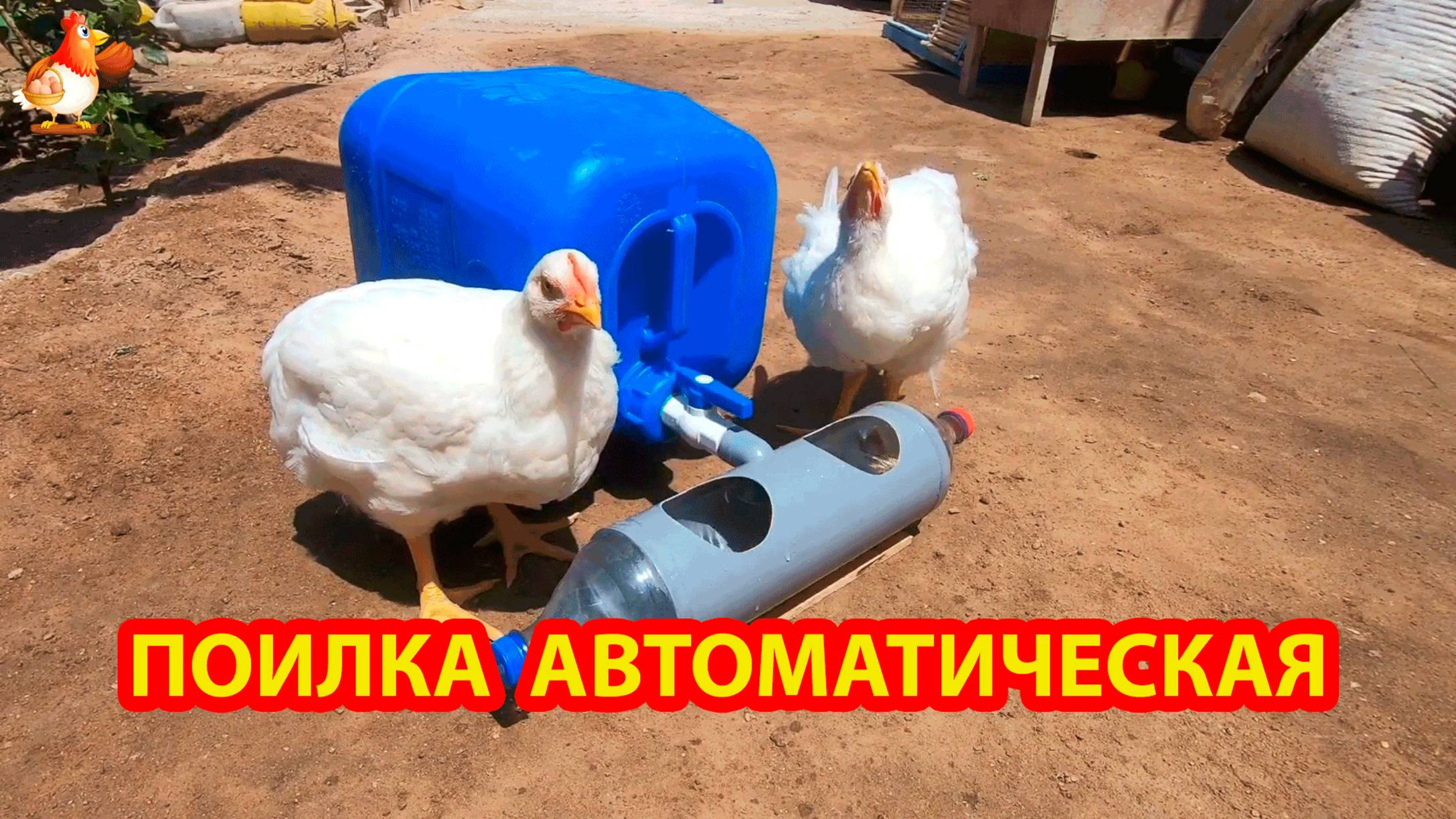 Поилка курам и бройлерам автоматическая из канистры, трубы и бутылок 💦🐓❣️