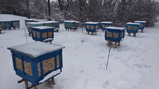13.01.2021 В УКРАИНУ ПРИШЛА ЗИМА. Зима на пасеке. смотреть онлайн