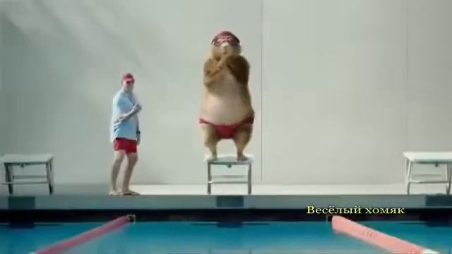 Прикольная блатная песня Веселый шансон Шуточный клип пародия Смешной хит про смотреть онлайн