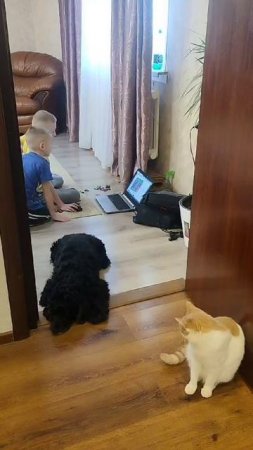 Лайк в гостях у Джека