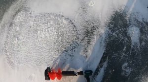 Рыбалка на хапугу, на Корейский Новый Год!!!#рыбалка #fishing #낚시 #кино