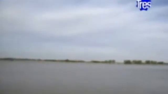 Café filosofico do bar parte 2 смотреть онлайн