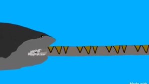 Titanoboa vs megalodon
