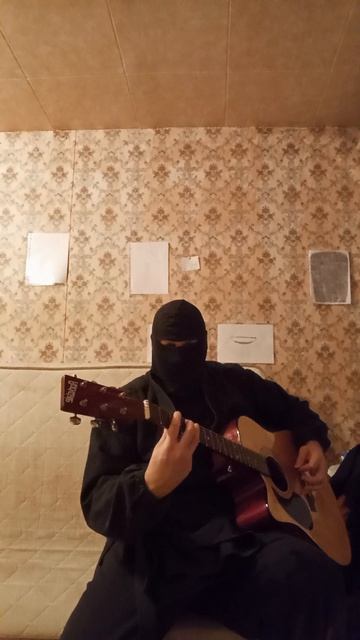 Very Nordic Ninja: Shark (07.02.2025) Крайне Северный Ниндзя: Акула #VeryNordicGuitarNinja #Guitar