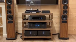 Как звучат кабели: Purist Audio Design Musaeus BiWire Diamond Revision 2.0m ban-ban
