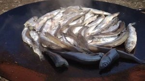 Пожарил вкусную мойву на сковороде садж🐟😊