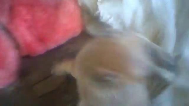 WP 20161026 12 06 04 Pro смотреть онлайн