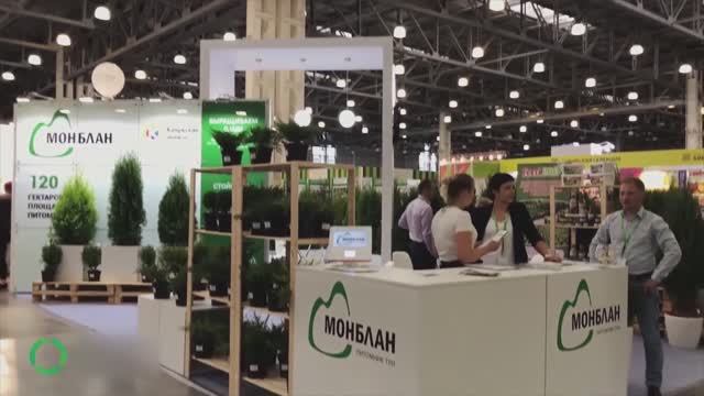 МИРЭКС Обзор стенда компании Монблан на выставке Цветы Экспо 2020 смотреть онлайн