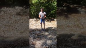 Что делать при нападении кабана