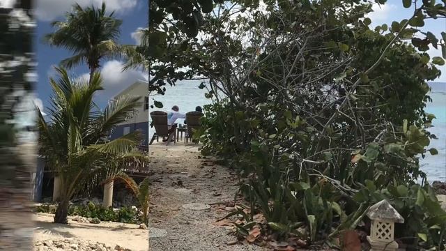 A Morning in Cayman Islands смотреть онлайн