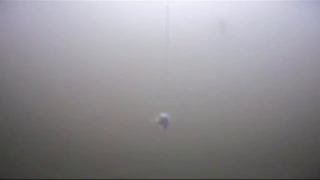 Golden Gate Salmon Association Fights for California's Salmon смотреть онлайн