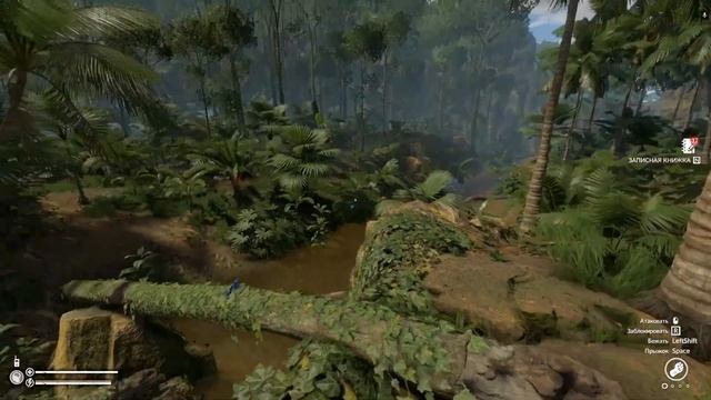 я взял жабу смотреть онлайн