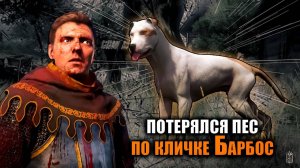 В поисках Барбоса , считаю овечек в Kingdom come deliverance 2