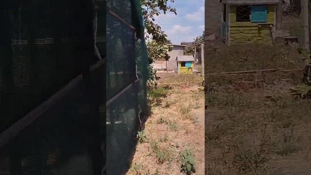 обзор на наш двор (в конце заключил телефон поэтому будет 2 часть по чердаку) смотреть онлайн