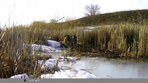 Степной Орёл. Самый смелый хищник.