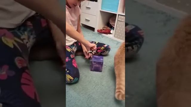 Открываю колонку Алиса 1 часть смотреть онлайн