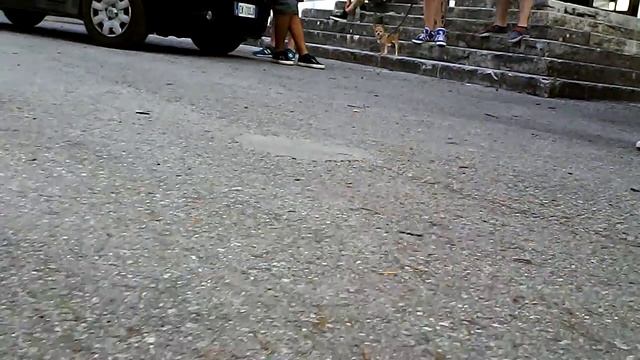 Syma X5SC prova 3 @ Sant'Omero смотреть онлайн