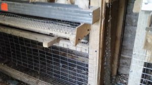 Ужас завелись крысы в перепелятнике, что делать!