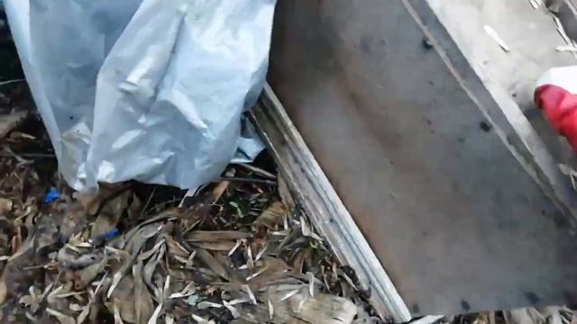 #1 пчёлы БАКФАСТ ПРИОБРЕЛИ ПЧЕЛОПАКЕТЫ, ВЫСАДКА ПЧЁЛ В ДОМИКИ, ЧТО СТАЛО С пчелопакетом? Май 2021год смотреть онлайн