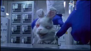 Кролик Ральф. Шокирующий ролик.