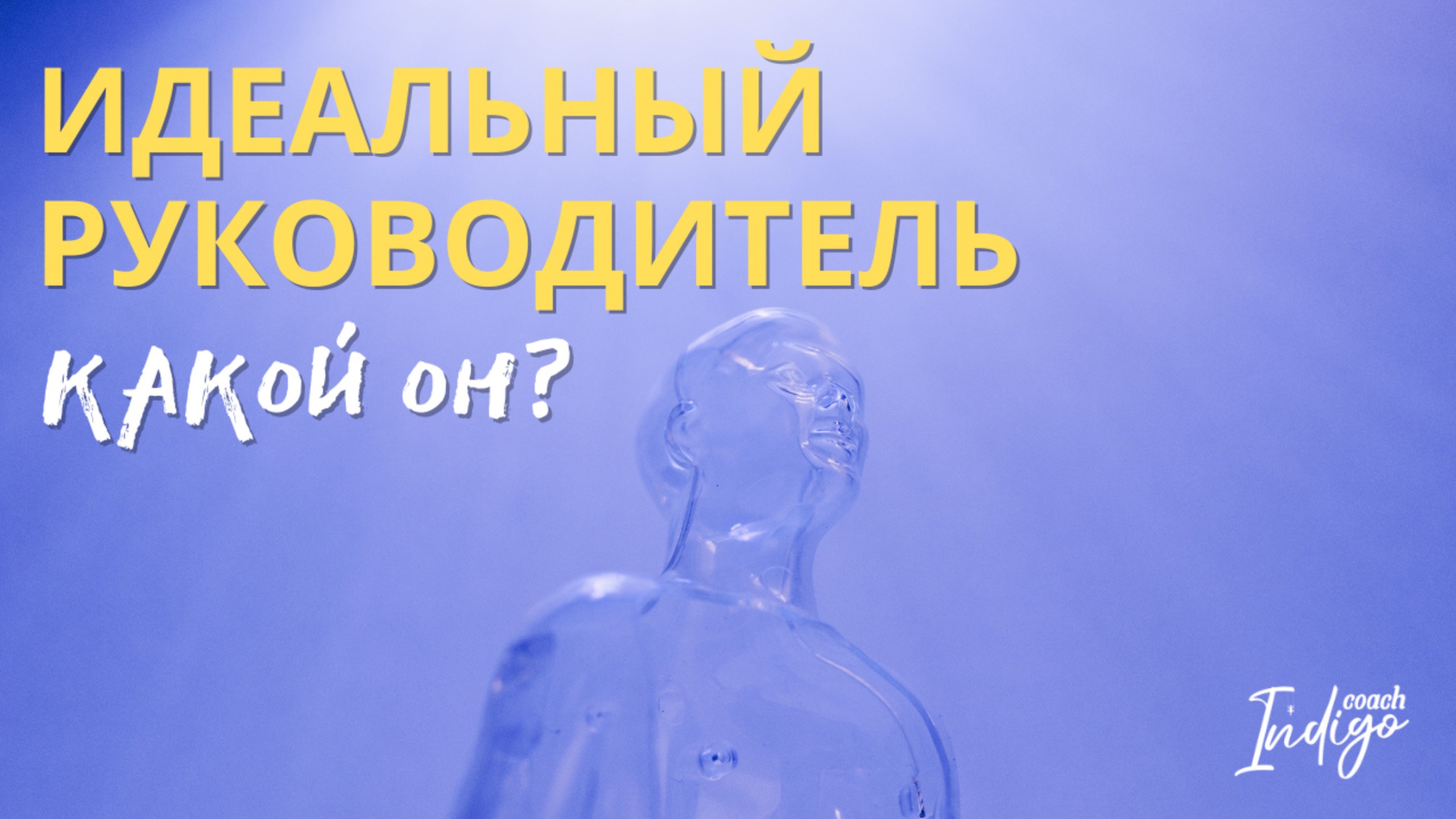Идеальный руководитель, какой он? | Ирина Шичева и Анна Калнина смотреть онлайн