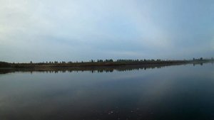 толстолобик на 18кг продолжение