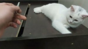 Евровинт. Усиление кровати.