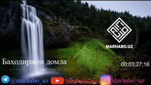 Фарзандларингиздан қори чиқишини хоҳлайсизми?