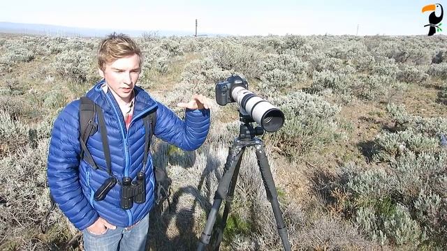 Photography Tip - How to Photograph Birds in the Field смотреть онлайн