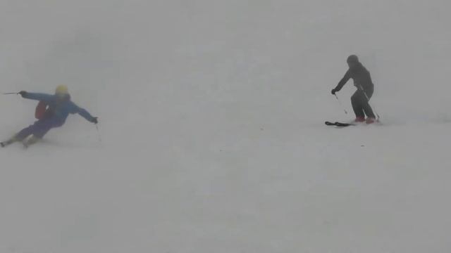 2016 05 04 Momokichi&Hanikichi Flamingo Turn in Kiroro смотреть онлайн