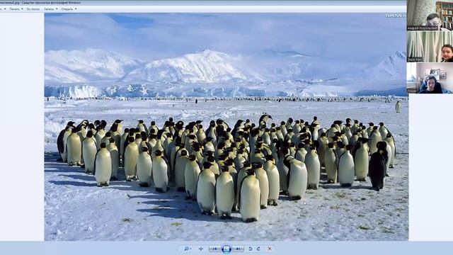 Антарктида1 смотреть онлайн