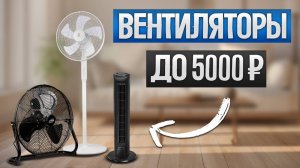 ТОП-5: Лучшие ВЕНТИЛЯТОРЫ до 5000 рублей  || Рейтинг напольных вентиляторов для дома