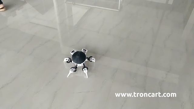 Hexapod Crab Robot смотреть онлайн