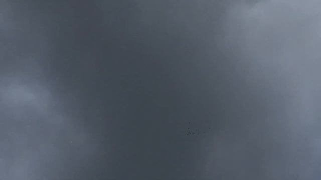 Пермские ижевские Голуби 19-07-22 смотреть онлайн