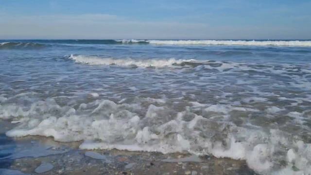 Валенсия январь 2024 (Valencia enero 2024) смотреть онлайн