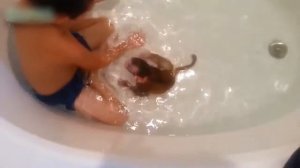 Обезьянка и малыш